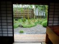 建物の中から庭を覗く